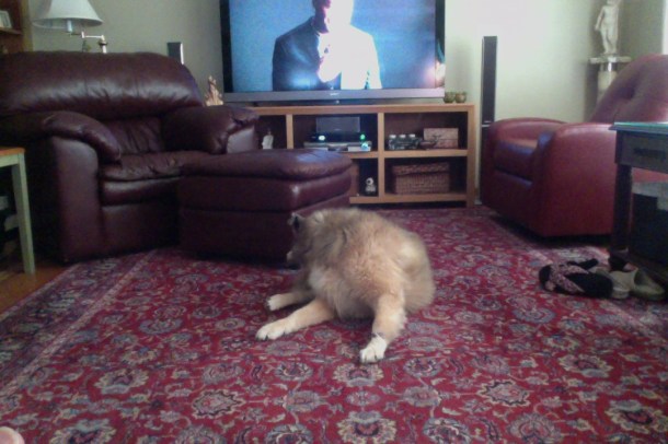 Photo on 1-1-14 at 11.03 AM